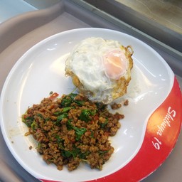 ข้าวผัดกระเพราะไข่ดาว