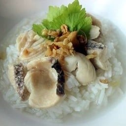 ข้าวต้มปลาช่อนนาไม่มีก้าง 
ต้องรีบมาต่อคิวซื้อตั้งแต่ช่วงออกร้าน
ไม่งั้นอดกินแ
