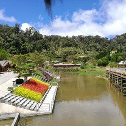 มองออกไปเห็นวิวสวยดี 