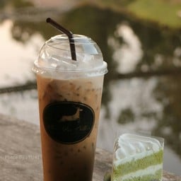 Khao Yai Coffee ลานกางเต้นท์ลำตะคอง เขาใหญ่