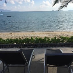 Ibis Samui
