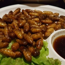 ดักแด้ทอด
