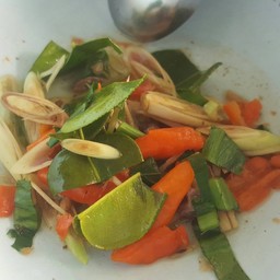 เนื้อต้มบ้านสิงห์