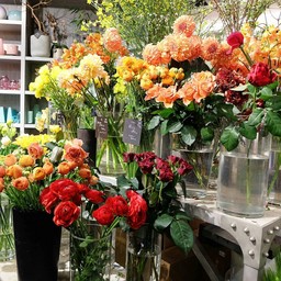 โซนสีส้ม 