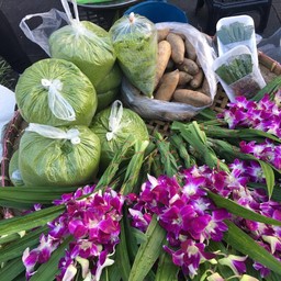 ไข่แหน_ผำ