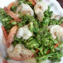 ครัวเสาวรส