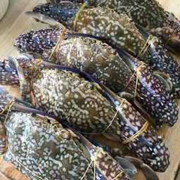 ปูสดมาก