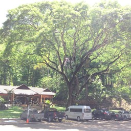 ตำแหน่งอยู่ ในอุทยานแห่งชาติคลองลาน (ในแผนที่คงเด้งไปผิดตำแหน่ง)