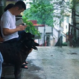 รอฝนหยุด