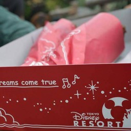 ใส่กล่องเรียบร้อย