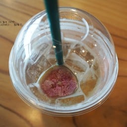 Starbucks Gwangalli Beach