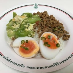 น้องใหม่