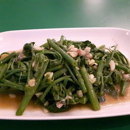 ยอดมะระผัดน้ำมันหอย