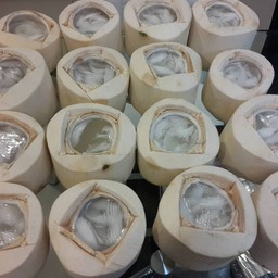 วุ้นในลูกมะพร้าว ราคาลูกละ 40 บาท