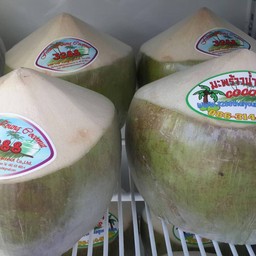 มะพร้าวควั่น ราคาลูกละ 30 บาท