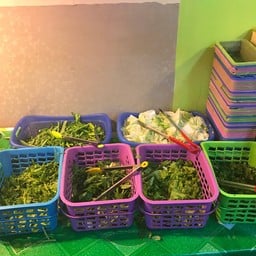 ผักหลากหลายค่ะ