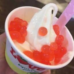 love yogurt and juice bar The Grande Shoppe