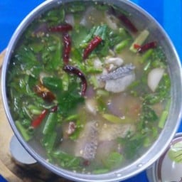 ต้มยำปลาพงน้ำใสหม้อไฟ