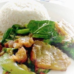 ข้าวคะน้าหมูกรอบ