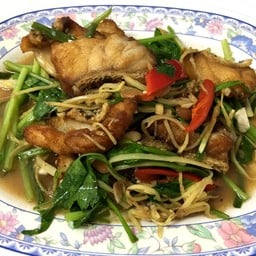 เนื้อปลาเก๋าผัดขึ้นฉ่าย