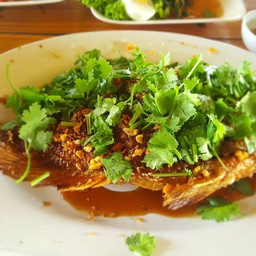ปลานิลทอดกระเทียม
