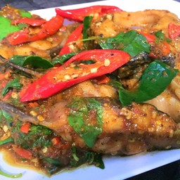 ผัดเผ็ดปลาดุกทะเลใบยี่หร่า