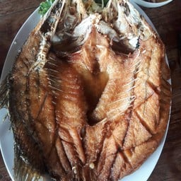 ปลากระพง (ยักษ์) ครั้งแรกที่กินไม่หมด ตั้ง 4 คนนะ