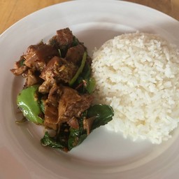 ข้าวกระเพราหมูตุ๋น