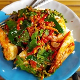 สุดา ฅ.กันเอง อาหารป่าสุดแซ่บ