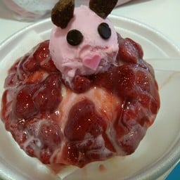 first snow อยุธยาปาร์ค