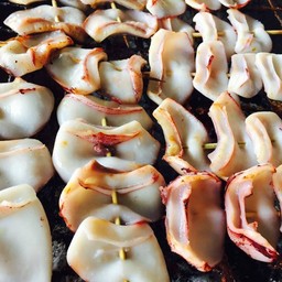 ปีกหมึก