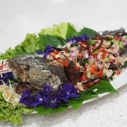 สวนอาหารครัวร่มไม้ปลาเผา