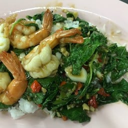 ข้าวกะเพรา