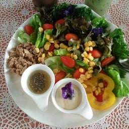 Yanisa Cafe