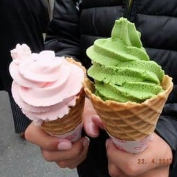 Softcream Tsukiji Fish Market