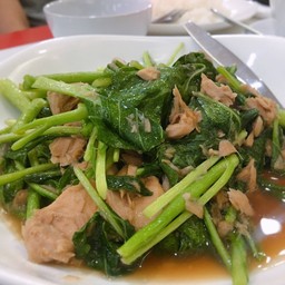 ผัดคะน้าทูน่า