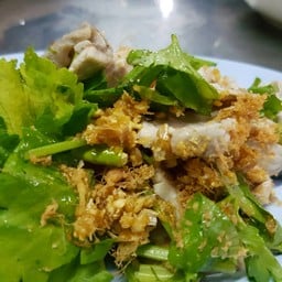 ปลาไม่คาว สด สะอาด