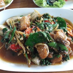 อ้วน อาหารป่า