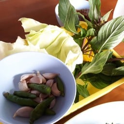 ผักเคียง 