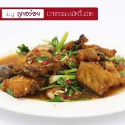 ปลากระพง ผัดขึ้นฉ่าย
