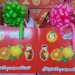 ส้มคัดพิเศษ