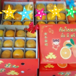 ส้มคัดพิเศษ