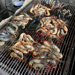 เตาปิ้งรวม ฟรี