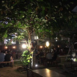 สวนหลังร้าน ใหญ่ และเป็นกันเองมาก