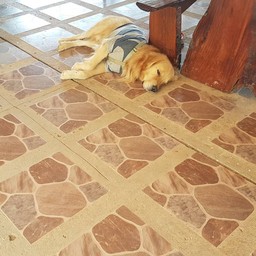 พนง.ต้อนรับสายหมี
