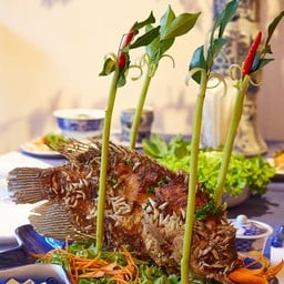 My Tho Carp (หมี่ทอคาร์ป)