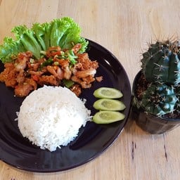 ครัวแคคตัส Cactus