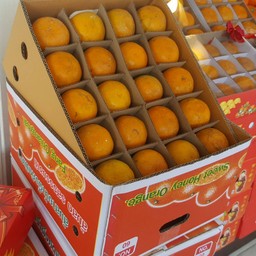 ส้มคัดพิเศษ บรรจุกล่อง 60 ลูก