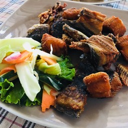 ปลาดุกแดดเดียว
