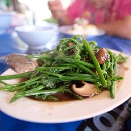 ยอดอ่อนๆ ราชาติดี